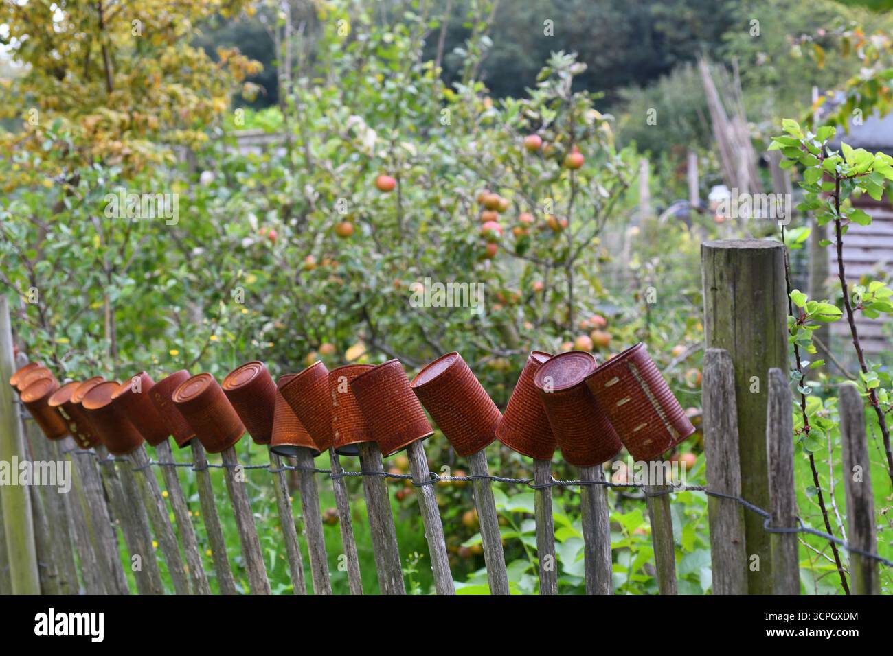 Tin cans on a picket fence Stock Photo