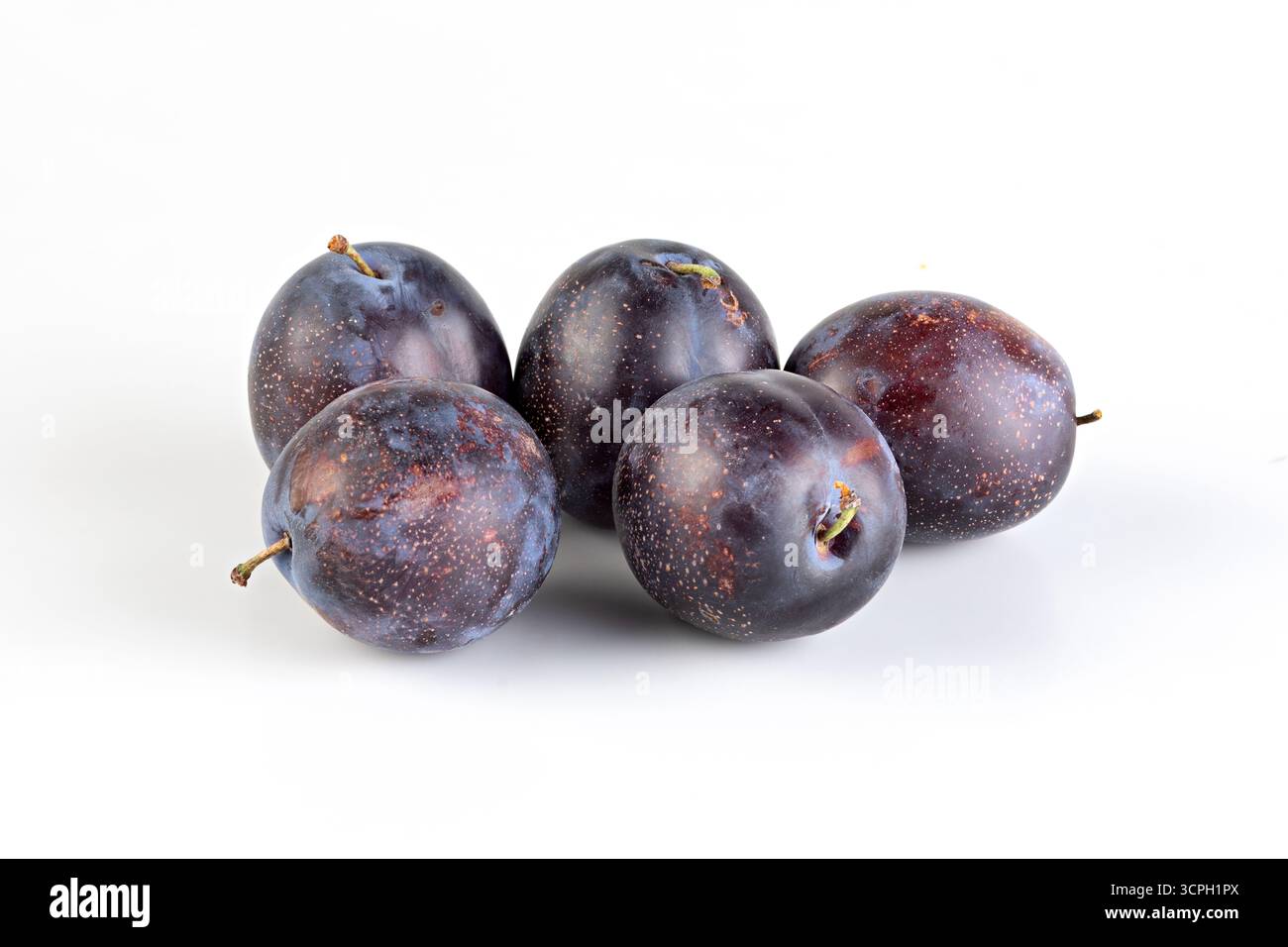 Fresh prunes isolated nature background with clipping path Stock Photo