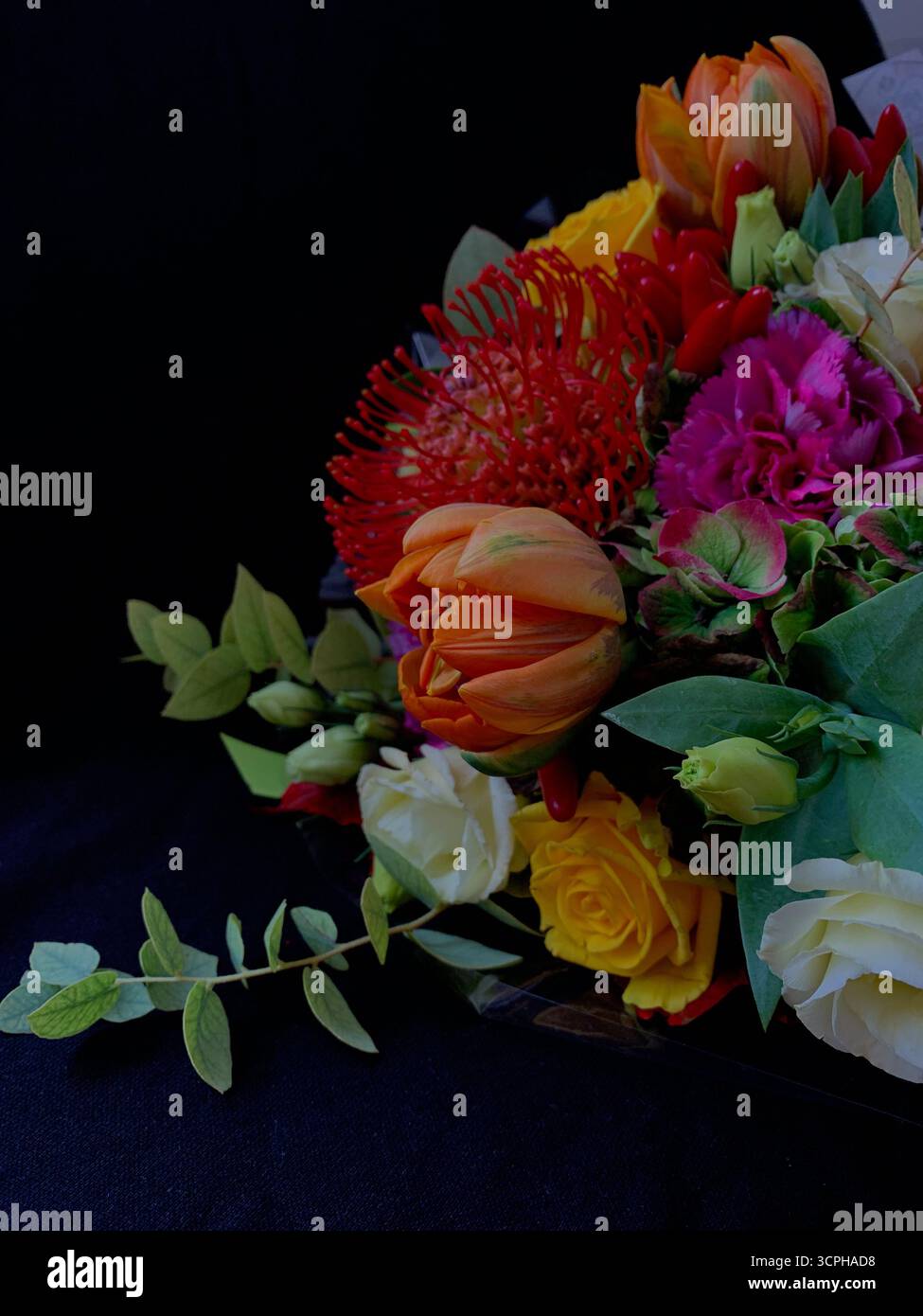 Beautiful fresh flowers on dark background. Romantic occasions, floral decorations, blooming flowers, elegance, love, special moments, overlay. - Smartphone Captured Stock Image