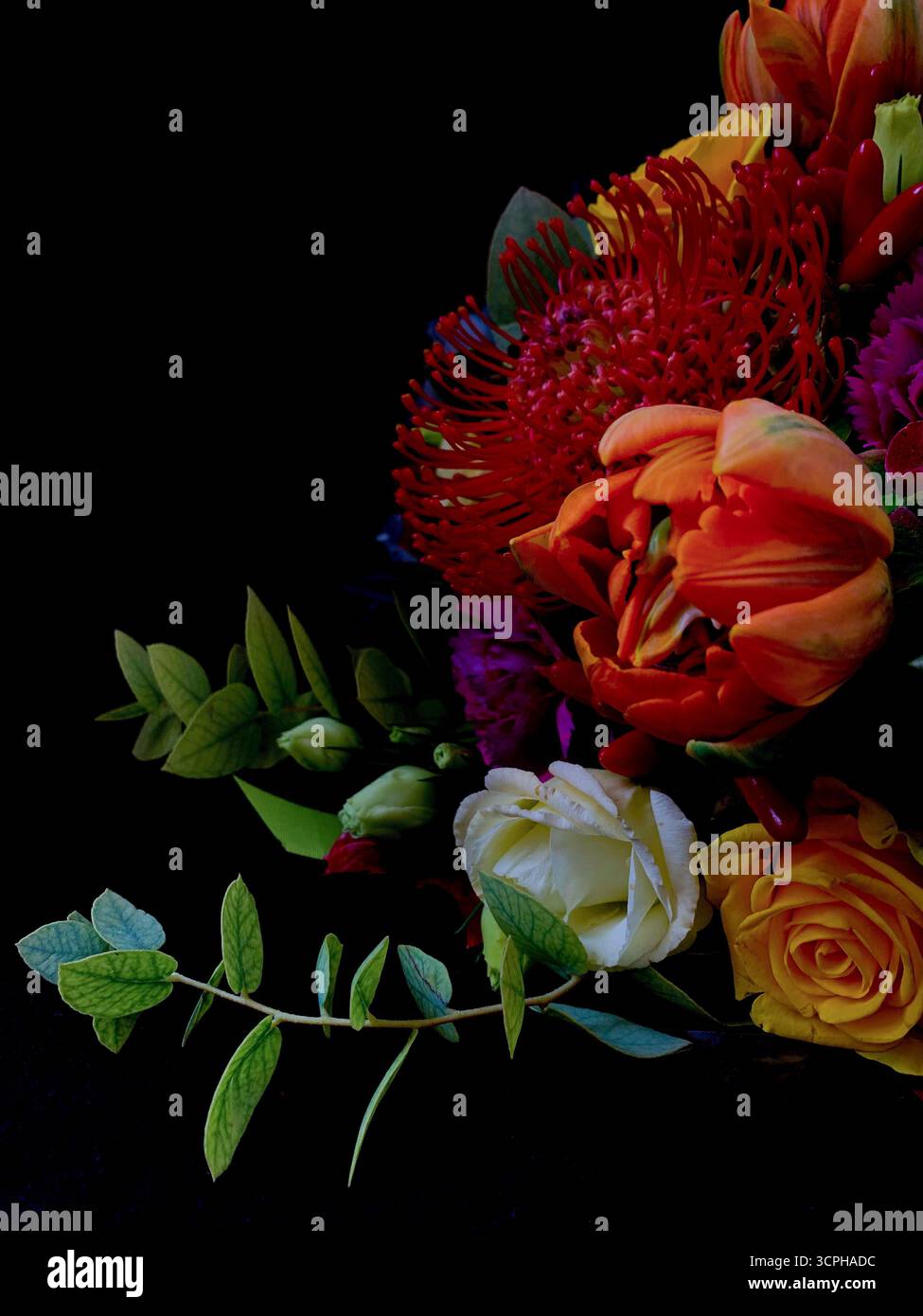 Beautiful fresh flowers on dark background. Romantic occasions, floral decorations, blooming flowers, elegance, love, special moments, overlay. - Smartphone Captured Stock Image