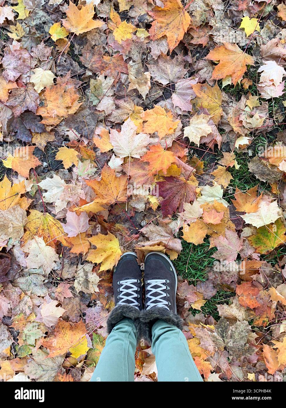 Colourful autumn leaves on the ground and woman's feet. Autumn background. The Pragser Wildsee, or Lake Prags or Lake Braies in Dolomites in autumn. - Smartphone Captured Stock Image