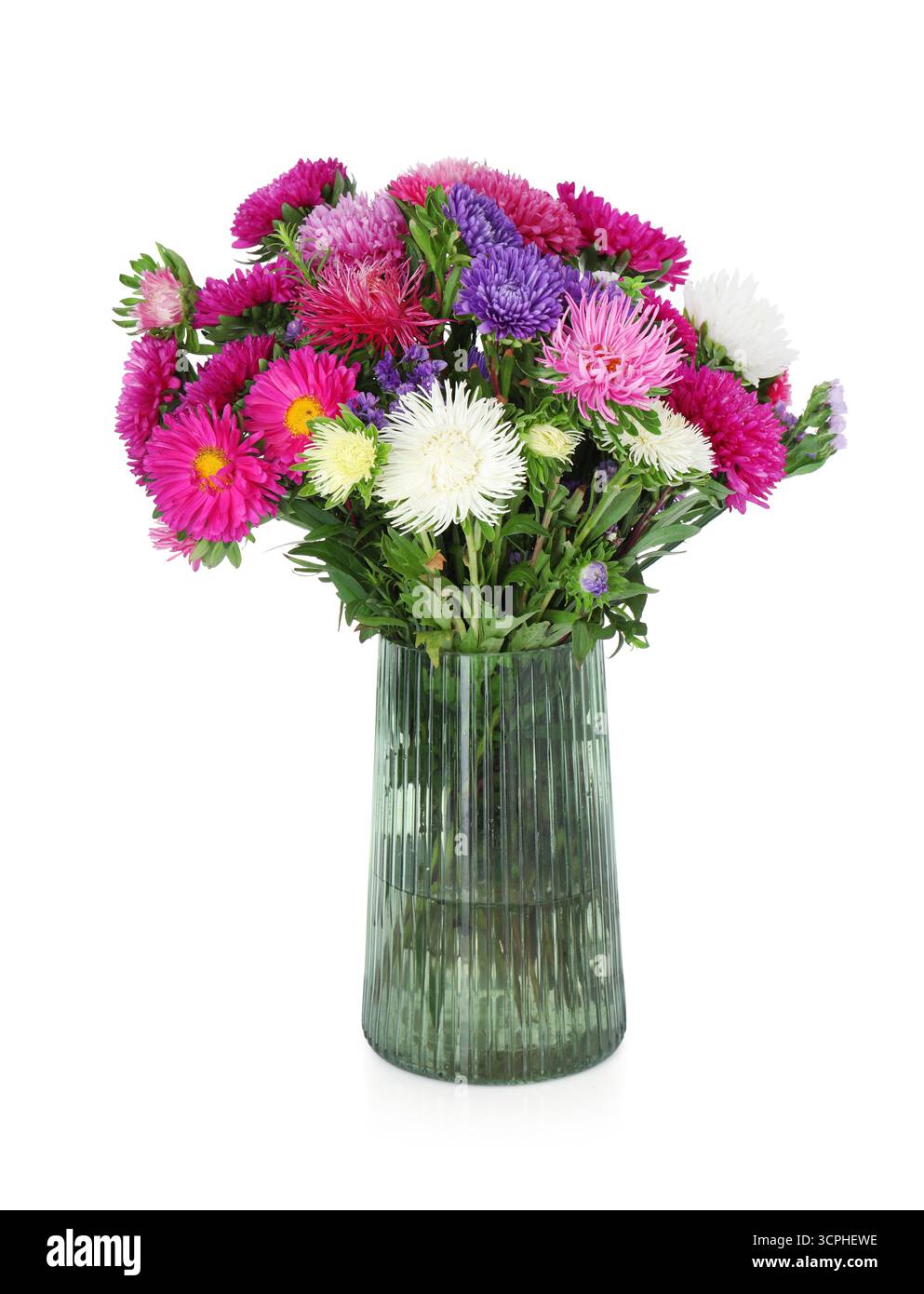 Beautiful flowers in vase isolated on white Stock Photo - Alamy