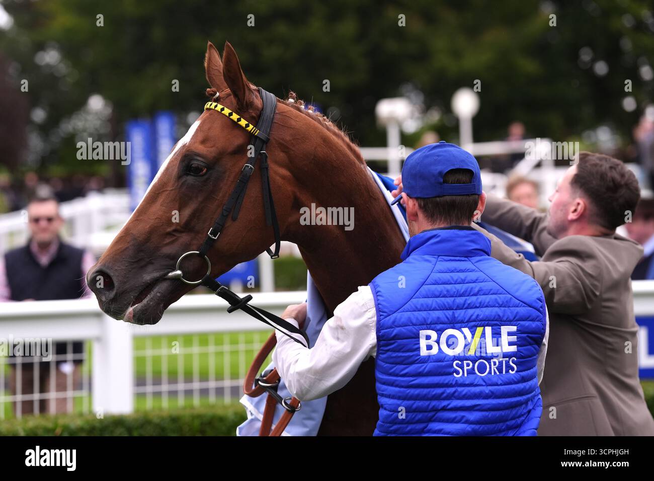 friday the 13th lebrons