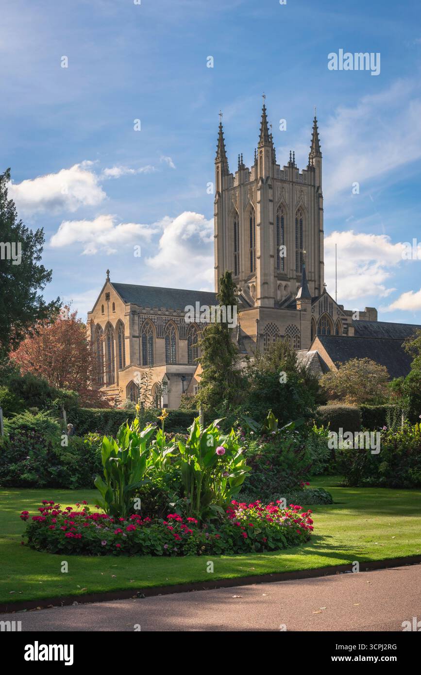 UK cathedral England, view in summer of St Edmundsbury cathedral and the Abbey Gardens sited in the Suffolk town of Bury St Edmunds, England, UK Stock Photo