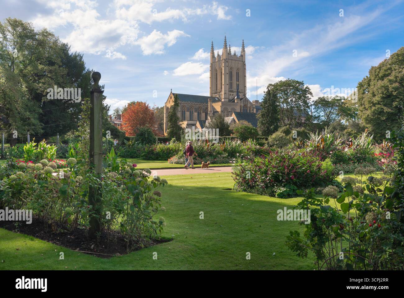 Bury St Edmunds Abbey Gardens, view in summer of the cathedral and the Abbey Gardens sited in the historic Suffolk town of Bury St Edmunds, England UK Stock Photo