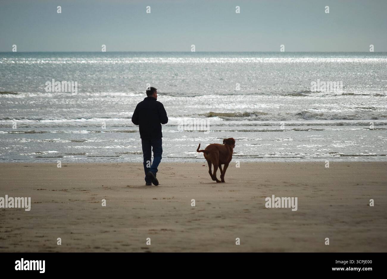 Man and dog walking on beach hi-res stock photography and images - Alamy