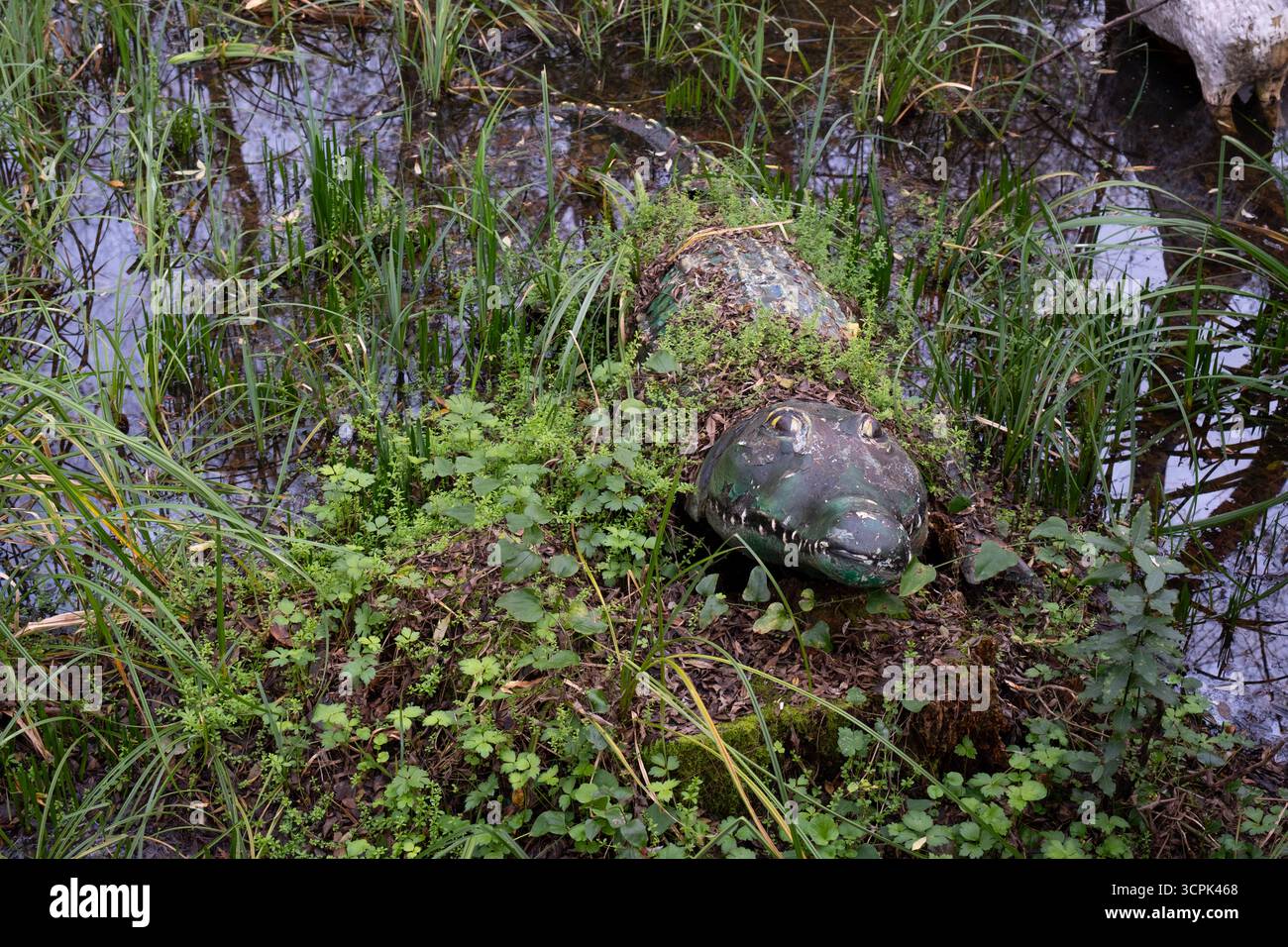 Artificial wetland hi-res stock photography and images - Alamy