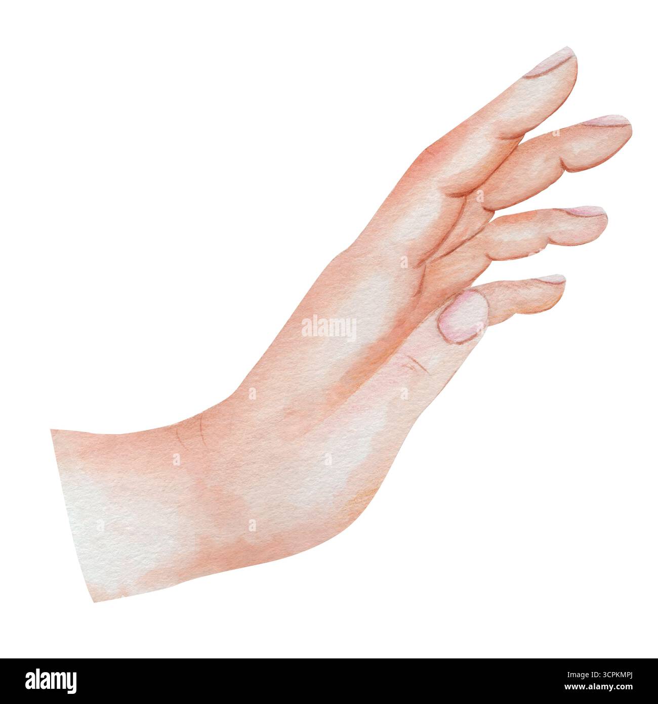 Watercolor illustration of hands with skin texture. Isolated on white ...