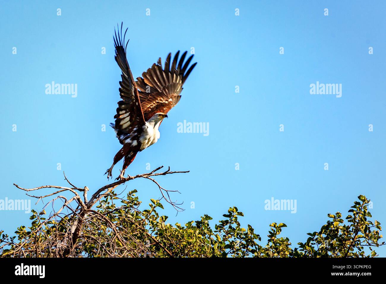 Majestic view setting down hi-res stock photography and images - Alamy