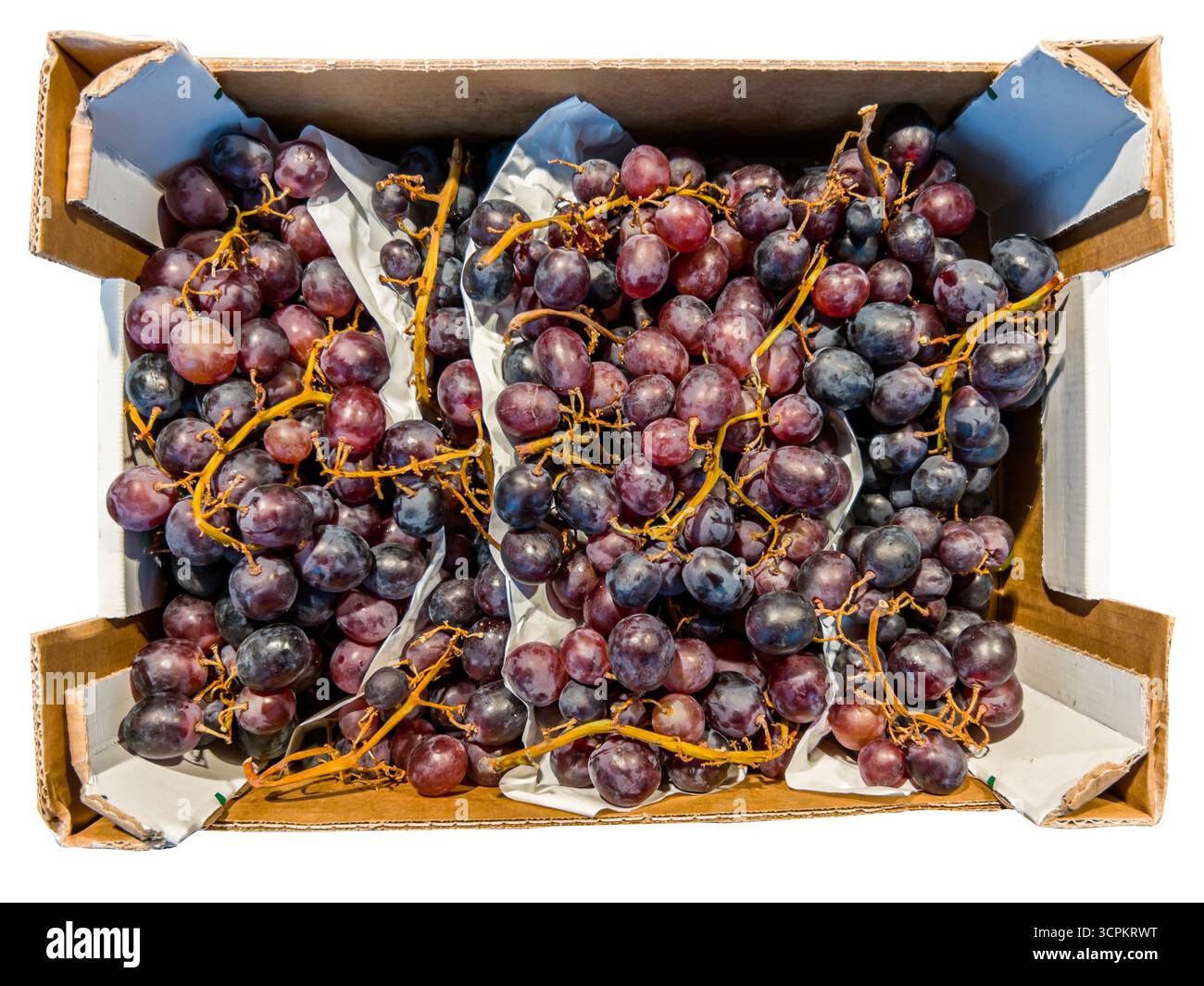 Clusters of red grapes in a cardboard crate in top view isolated on white with clipping path included Stock Photo