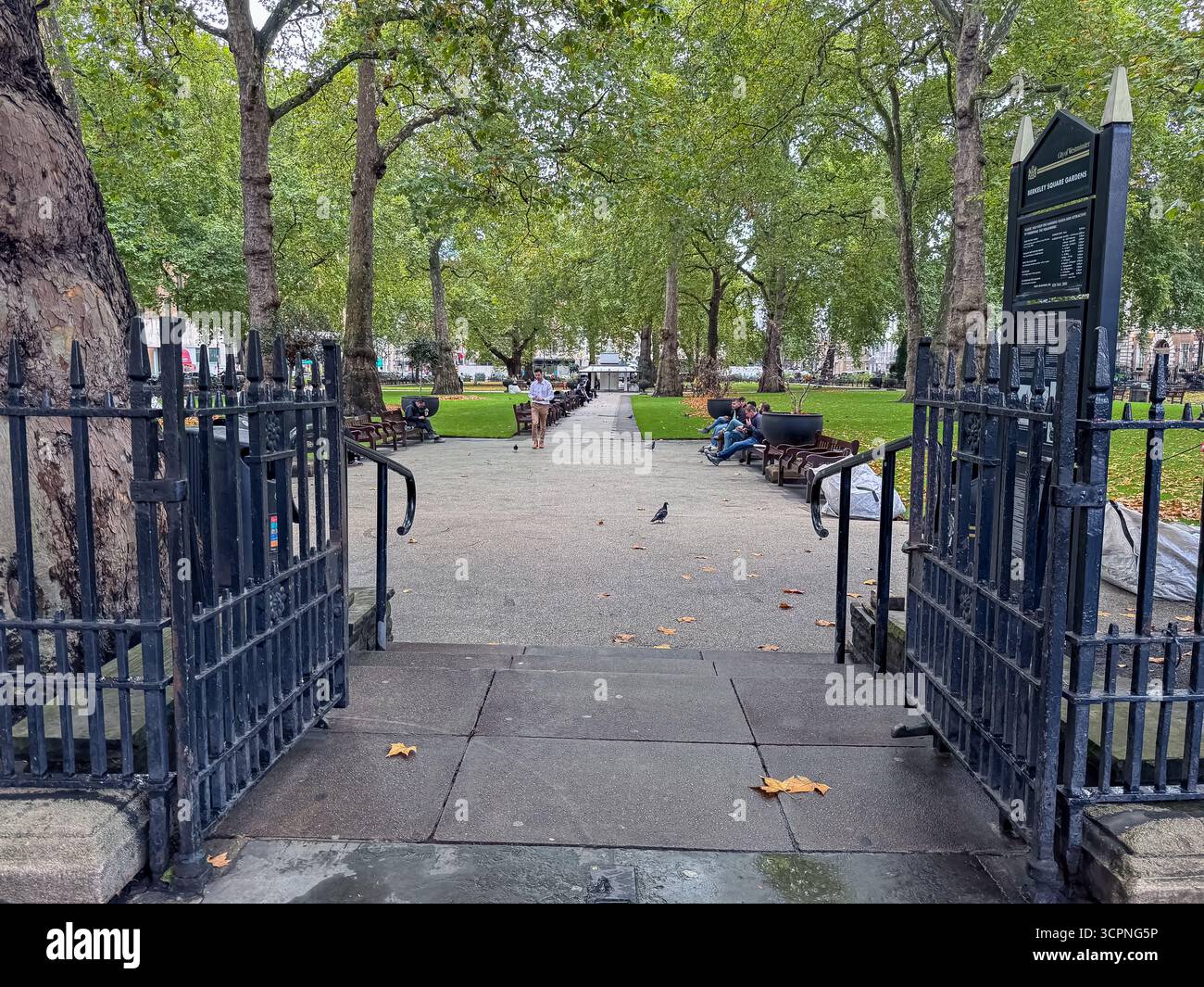 Berkeley Square Gardens, London - Smartphone Captured Stock Image