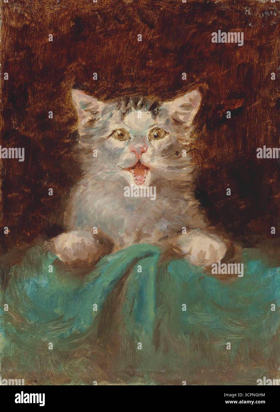 Chat Grincheux Png, Vecteurs, PSD et Icônes Pour Téléchargement Gratuit |  Pngtree, image size:944x1390