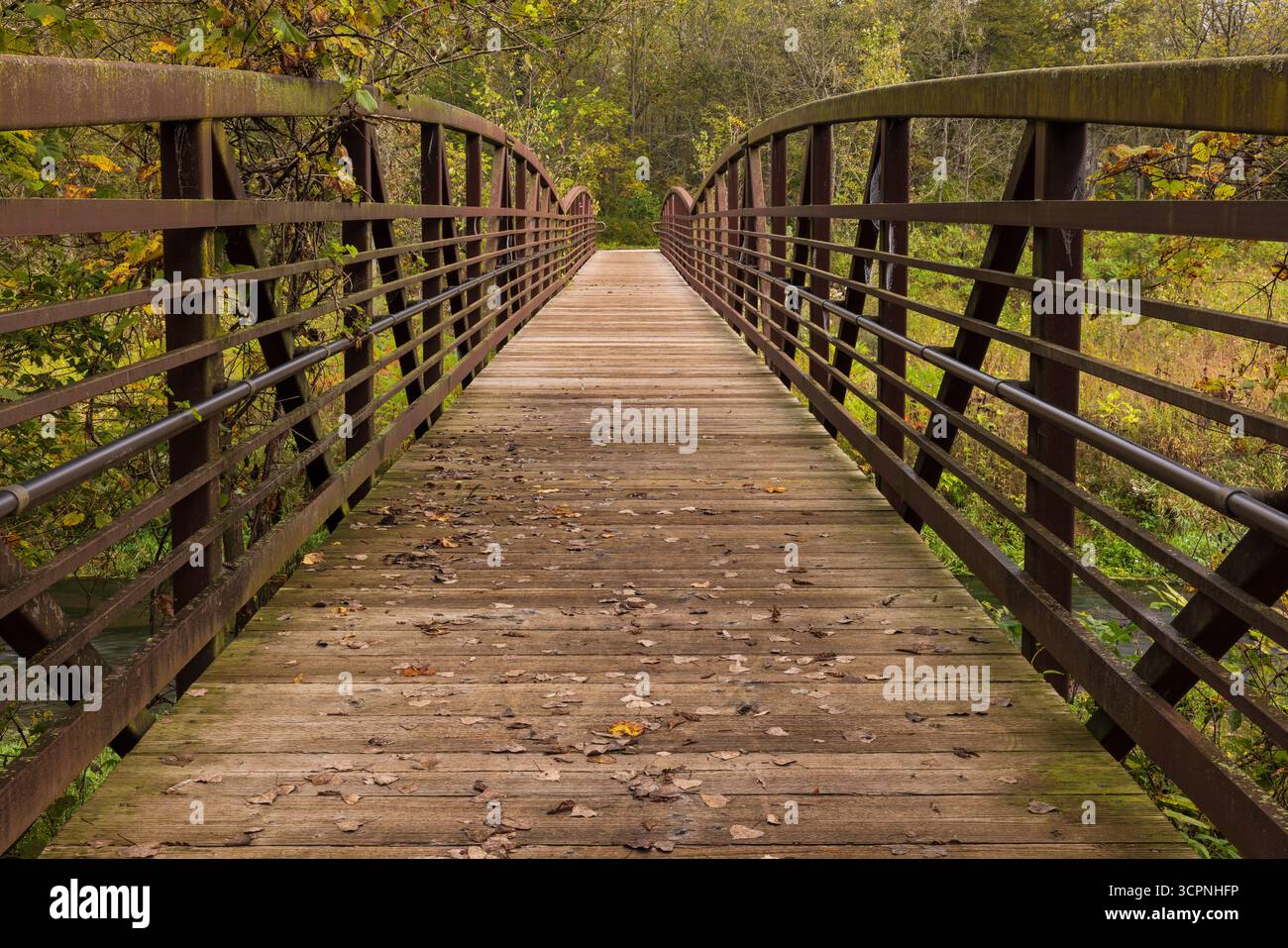 A footbridge on a trail in the woods during early autumn. Stock Photo