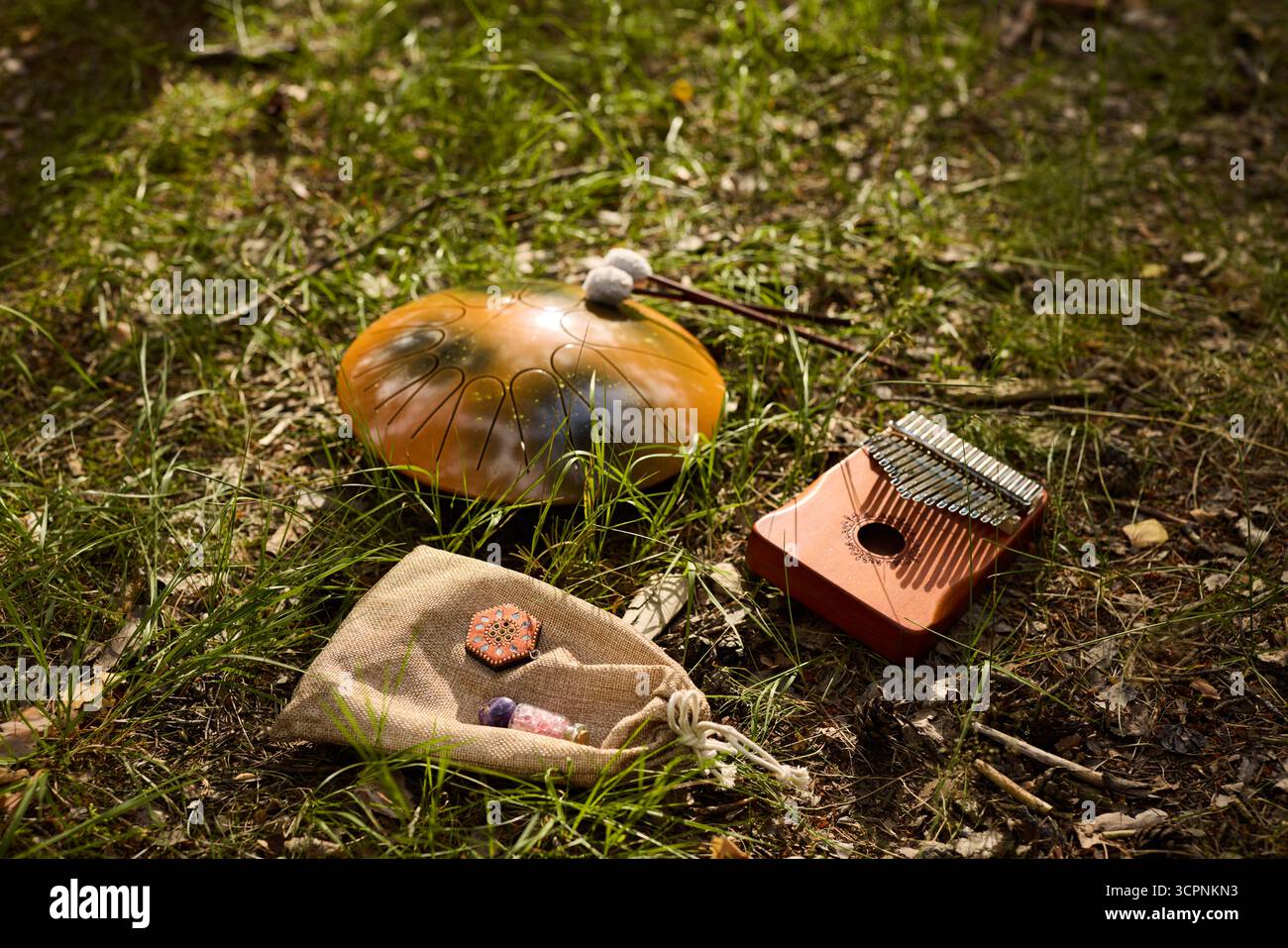 Unique Alamy Natures Treasures Unique and Beautiful Items Found on the Forest Ground ...