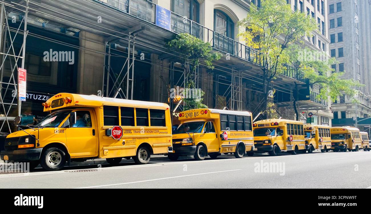 Line of Yellow School Buses in Urban Street - Smartphone Captured Stock Image