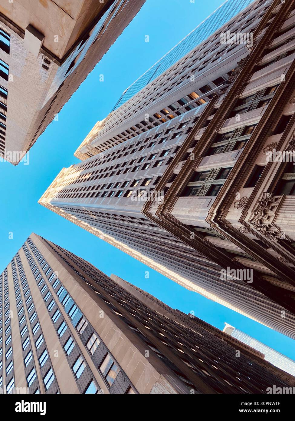Skyscrapers Converging Toward Blue Sky in Urban Perspective - Smartphone Captured Stock Image