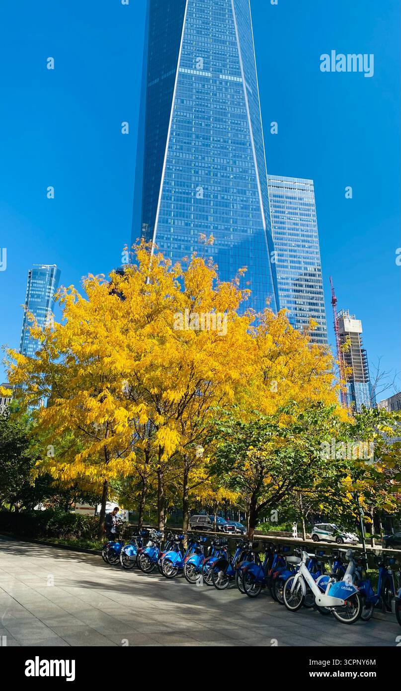One World Trade Center with Autumn Trees and Rental Bikes in New York City - Smartphone Captured Stock Image