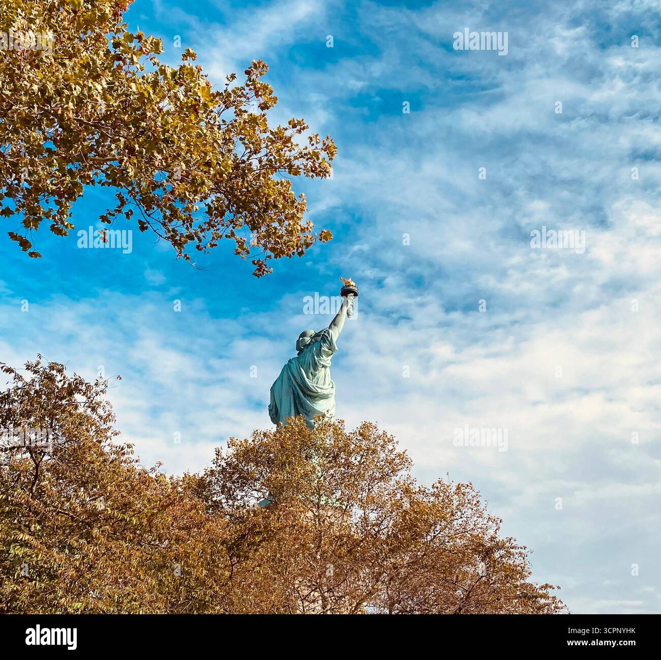 Statue of Liberty Behind Autumn Trees under Blue Sky in New York City - Smartphone Captured Stock Image