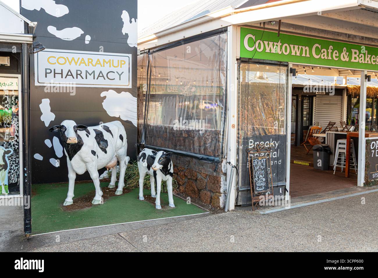 Some of the 42 life sized fibreglass Friesian cows and calves in the ...