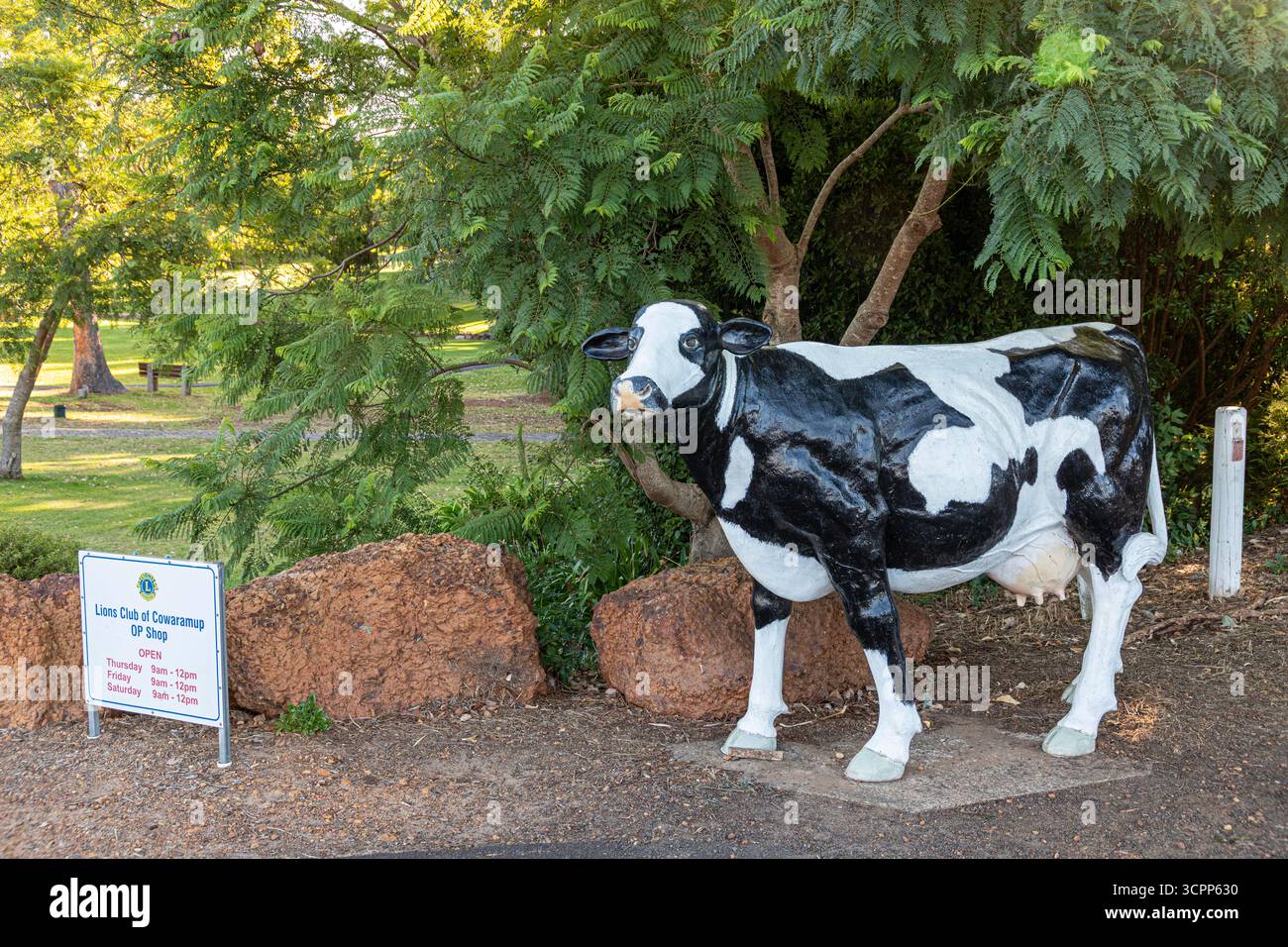 One of the 42 life sized fibreglass Friesian cows and calves in the ...