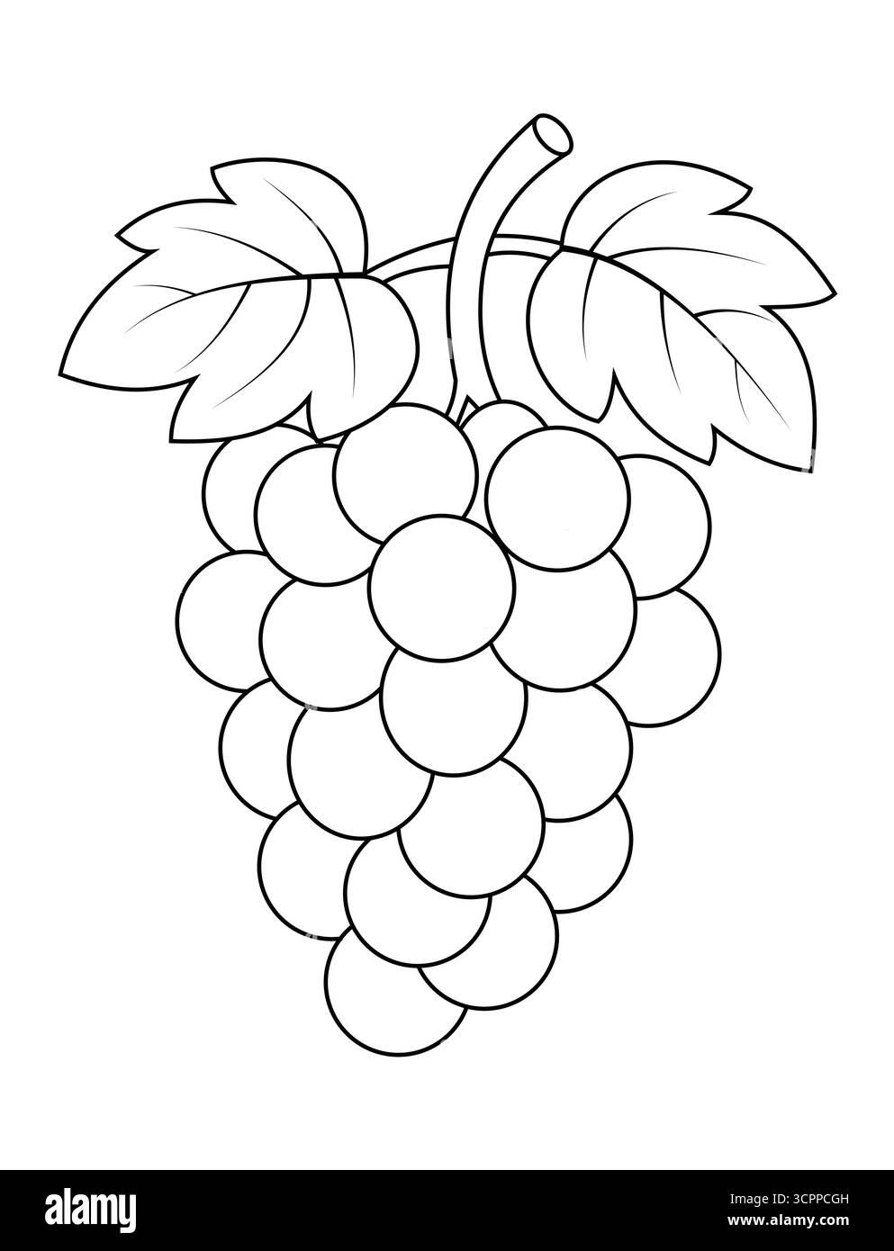 Grapes Coloring Page with Colored Example Illustration Stock Vector