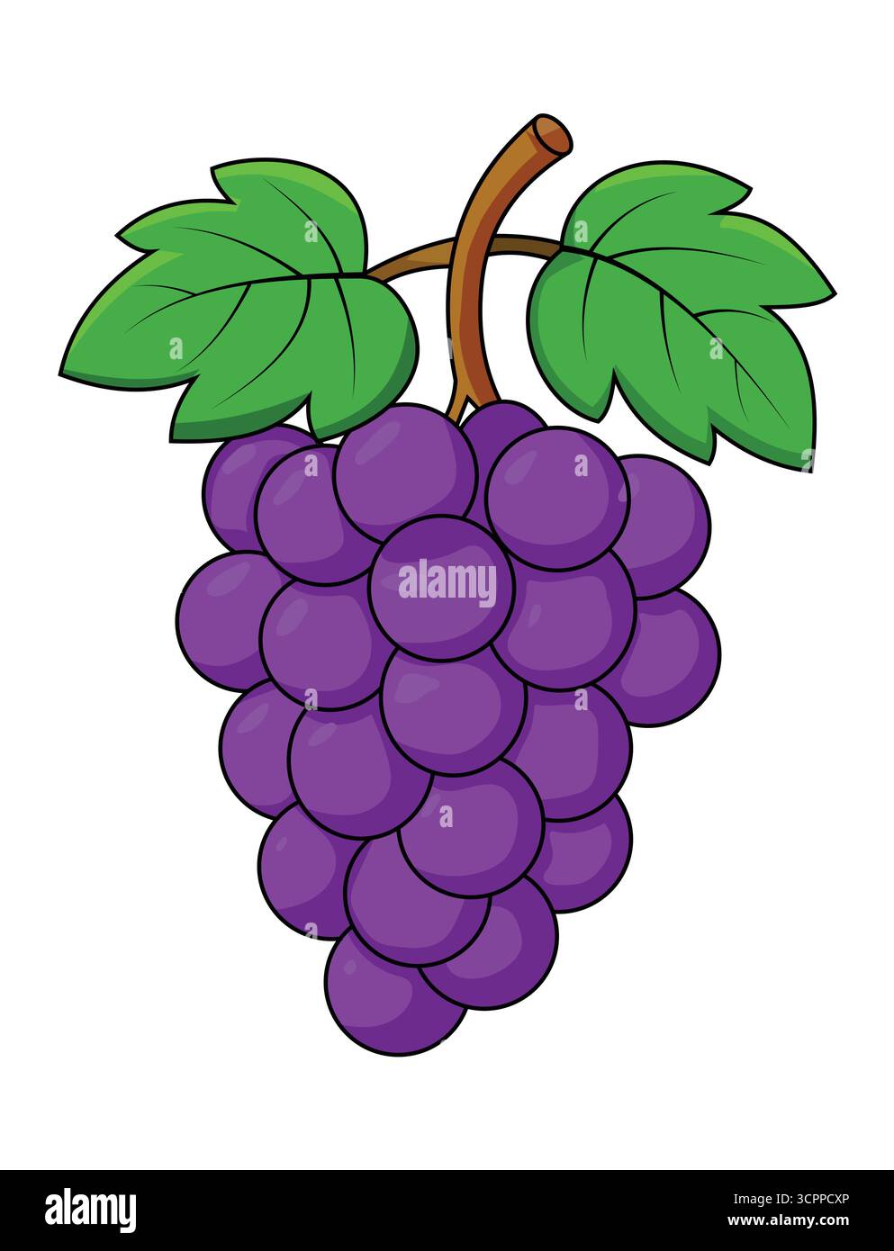 Grapes Coloring Page with Colored Example Illustration Stock Vector