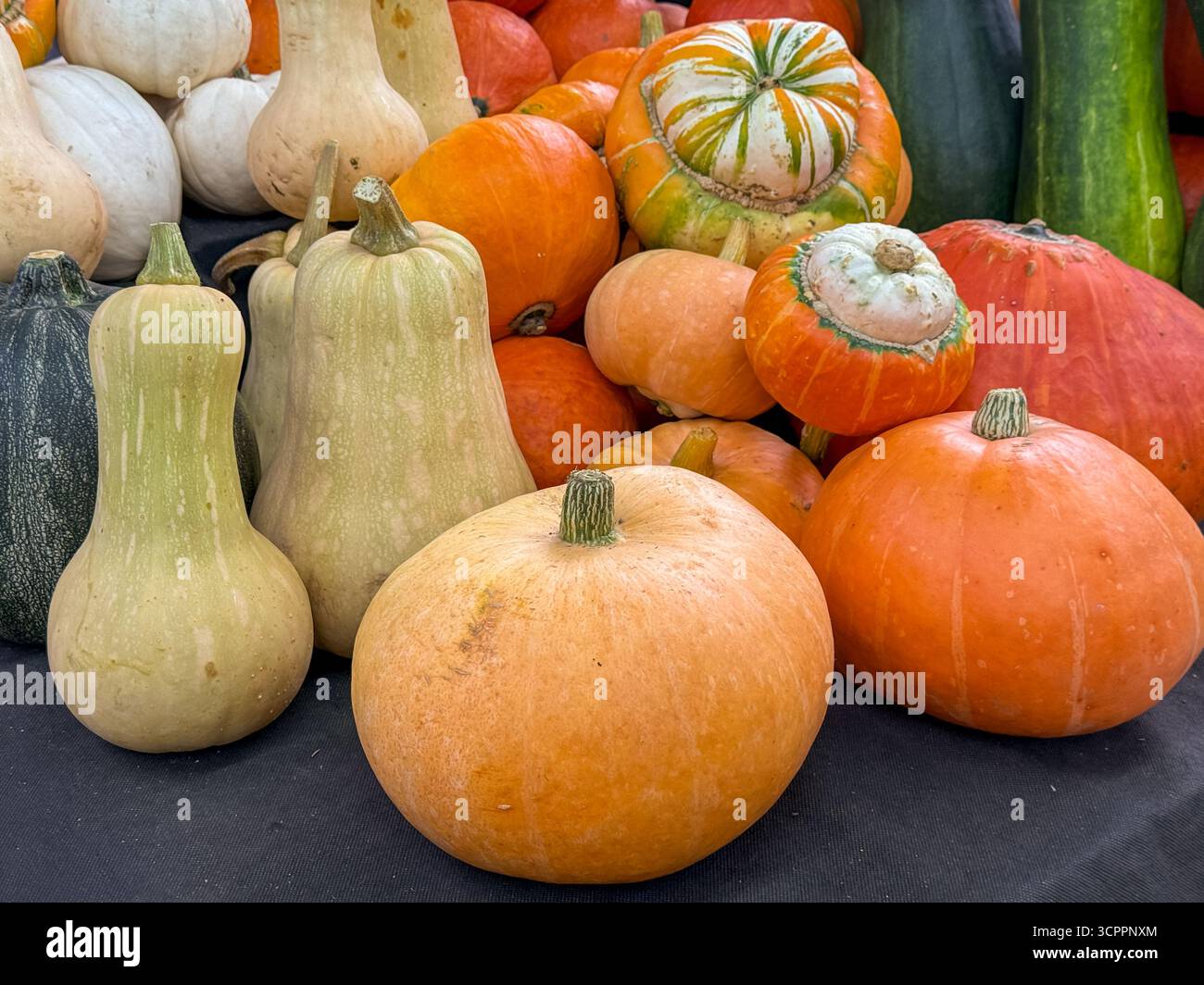 Assorted pumpkins of different shapes and colors arranged on a market stand, highlighting seasonal harvest, autumn, and fresh produce - Smartphone Captured Stock Image