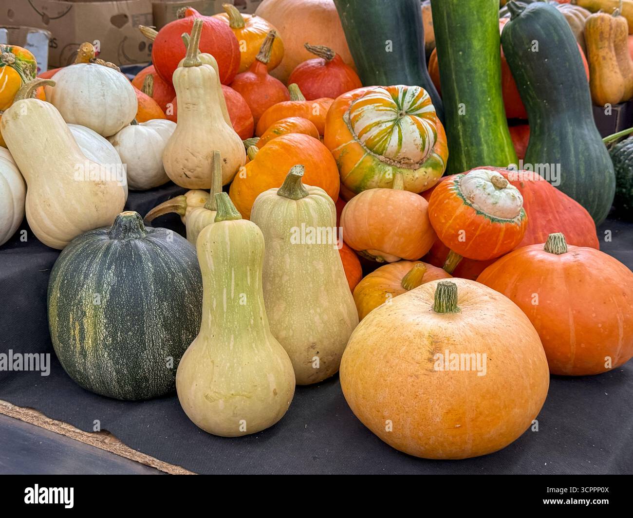 Assorted pumpkins of different shapes and colors arranged on a market stand, highlighting seasonal harvest, autumn, and fresh produce - Smartphone Captured Stock Image