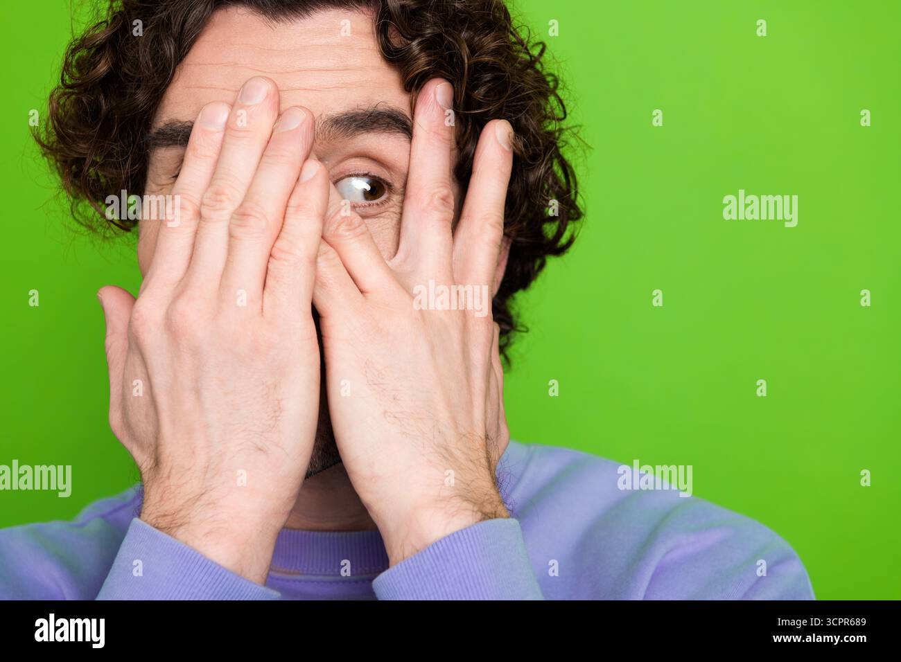 Curly-haired man in purple sweater covering face with hands on green background displaying amusement and curiosity Stock Photo