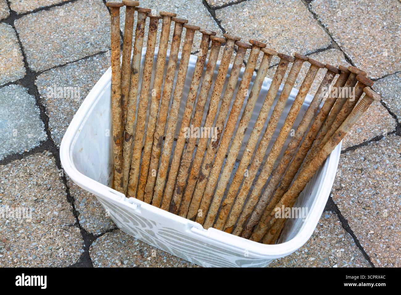 Rust coated old long nail spikes removed from damp ground in white plastic bucket on beige, tan paving stone background. Stock Photo