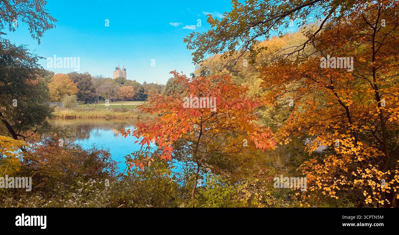 Autumn Landscape with Colorful Foliage, Calm Lake and Castle-like Building under Clear Blue Sky - Smartphone Captured Stock Image