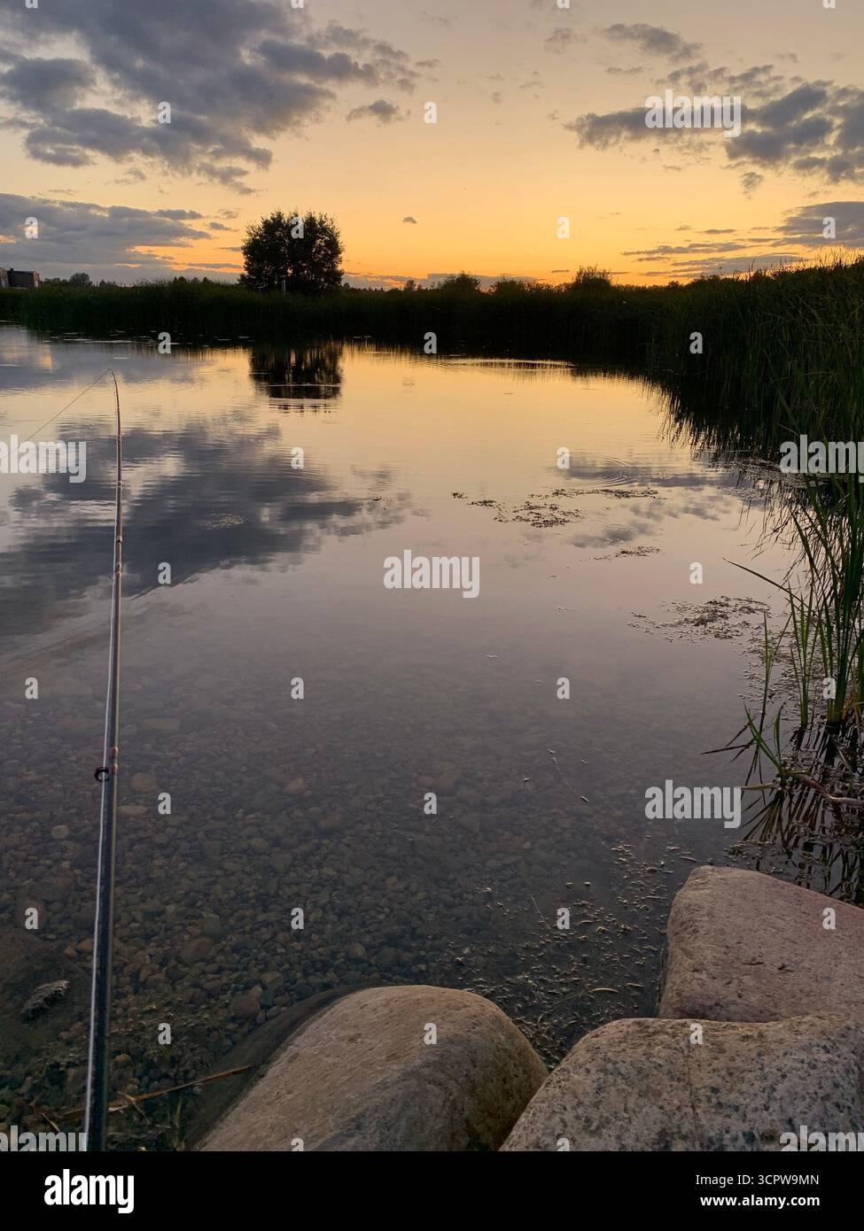Peaceful lakeside fishing at sunset with a fishing rod in the foreground, calm water reflecting clouds, surrounded by reeds and shoreline rocks. - Smartphone Captured Stock Image
