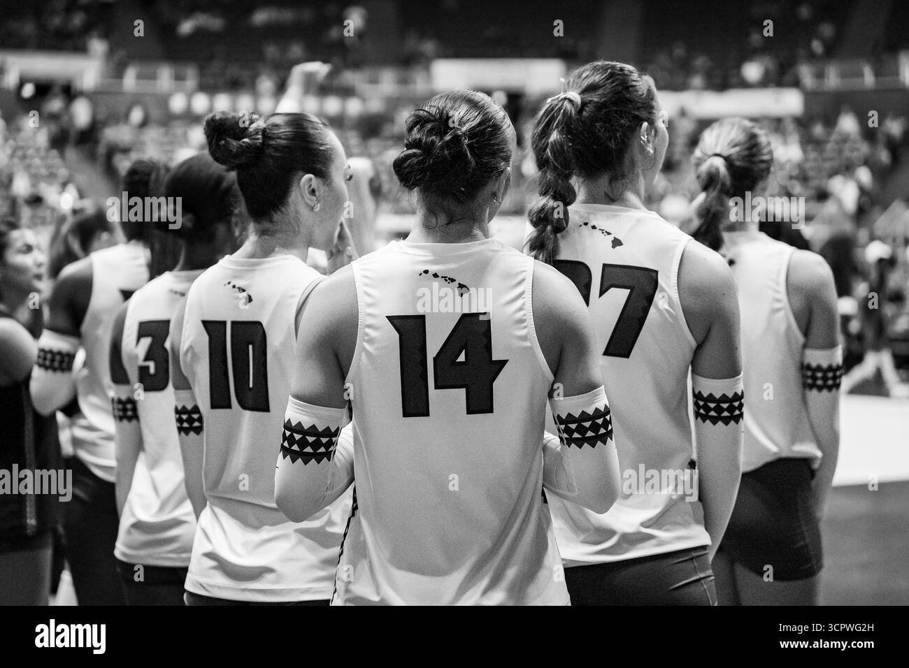 2025-university-of-hawaii-womens-volleyball-team-photo-hi-res-stock