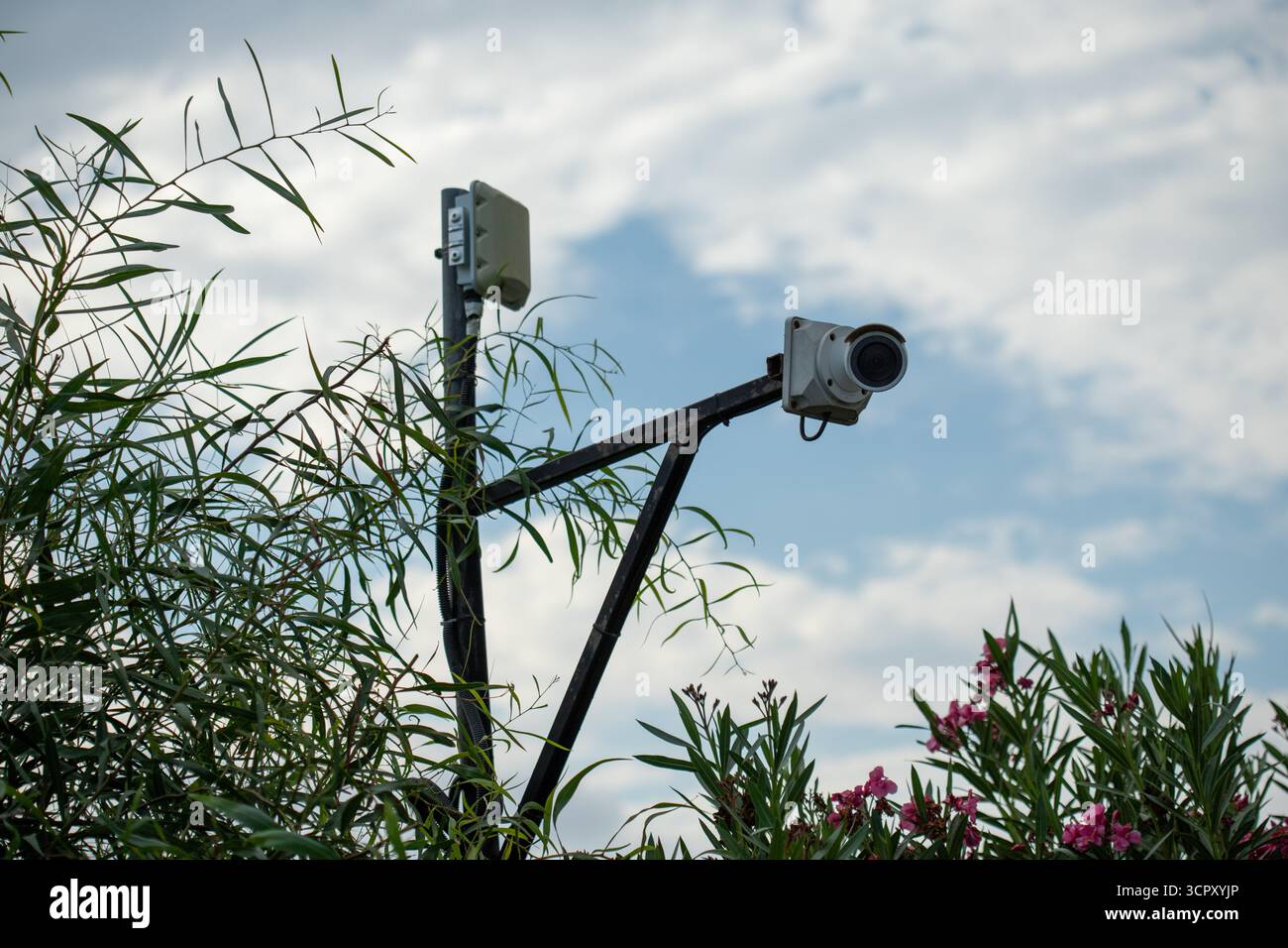 Image shows a surveillance camera mounted on a pole with a cloudy sky as a backdrop, partially obscured by foliage. Stock Photo