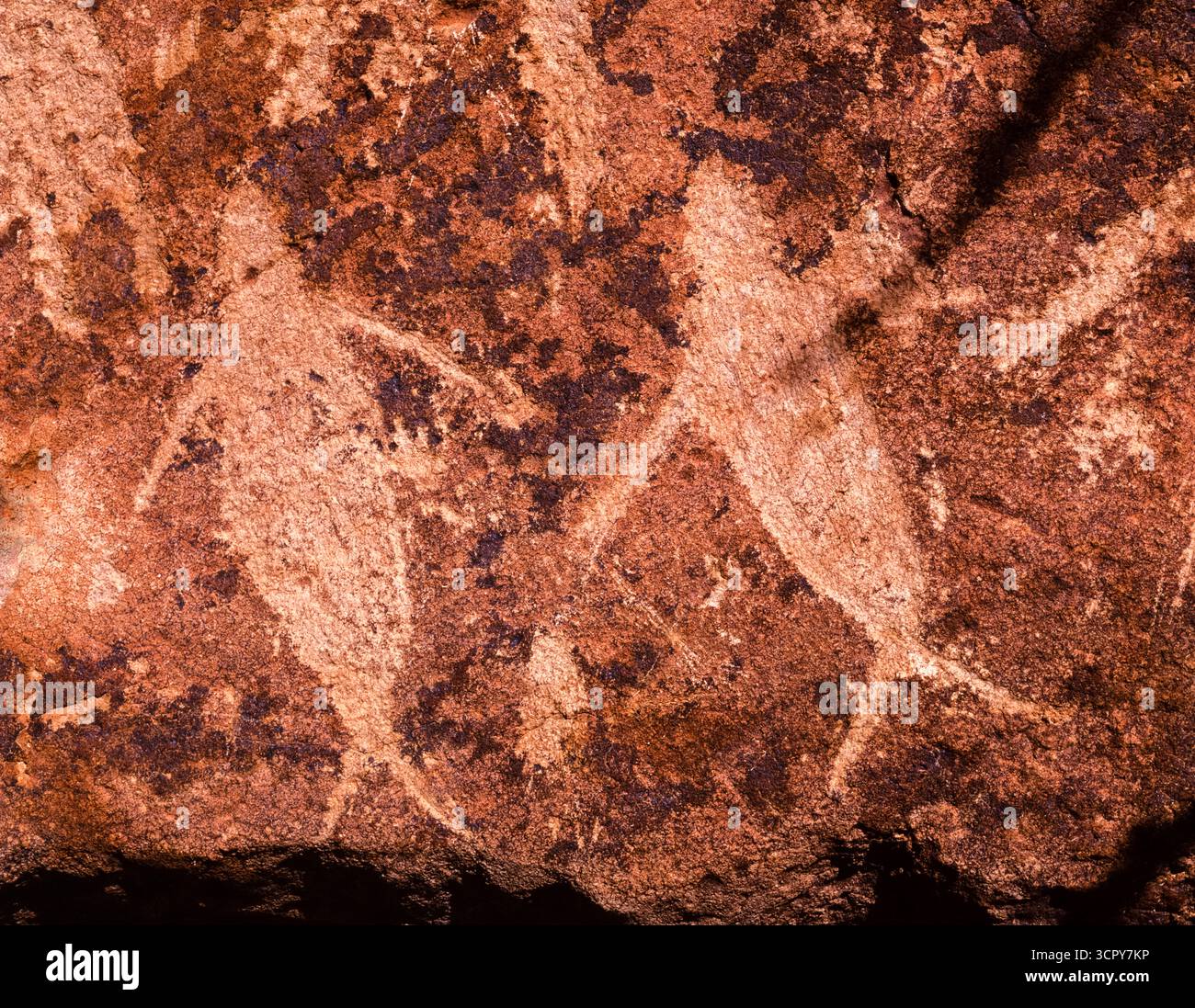 Petroglyphs of whales, near Santa Rosalia, Baja California Sur, Mexico Stock Photo