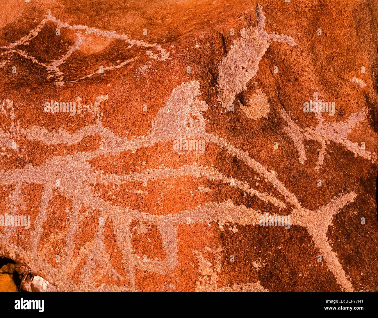 Petroglyphs of whales, near Santa Rosalia, Baja California Sur, Mexico Stock Photo