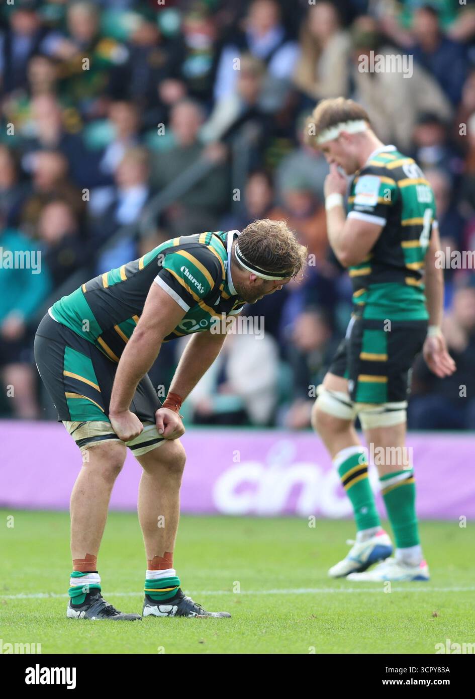Northampton Saints' Angus Scott-Young (left) at the end of the ...