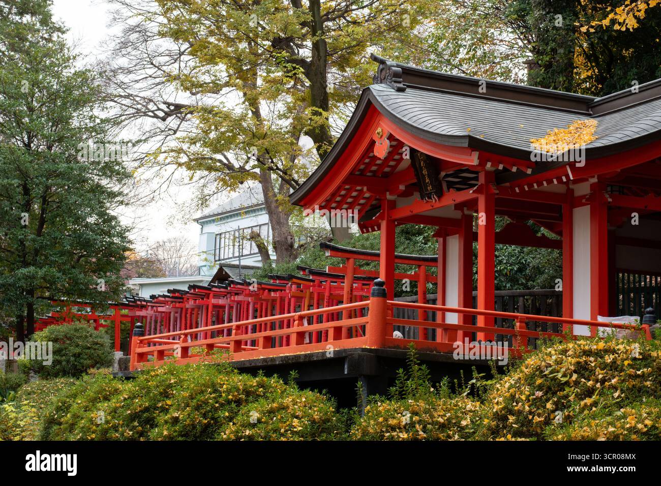 Scenic view of a Japanese Shinto shrine with bright red torii gates ...