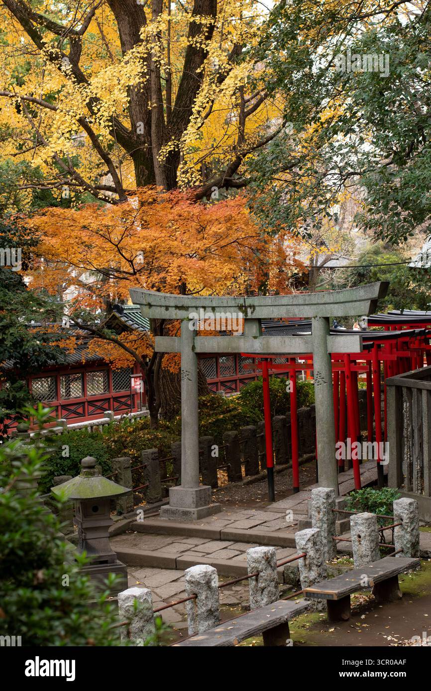 Traditional stone torii gate leading to a red shrine pathway framed by ...