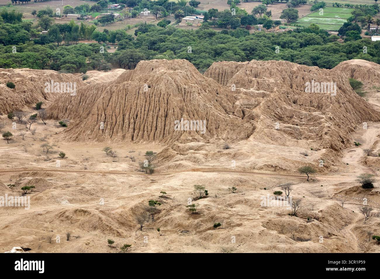 Tucume Pyramids Exploring the ancient wonders of the Tucume Pyramids in Lambayeque ...