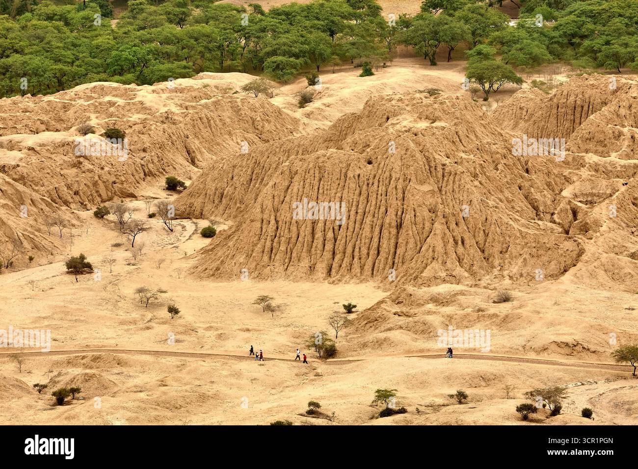 Tucume Pyramids Exploring the ancient wonders of the Tucume Pyramids in Lambayeque ...