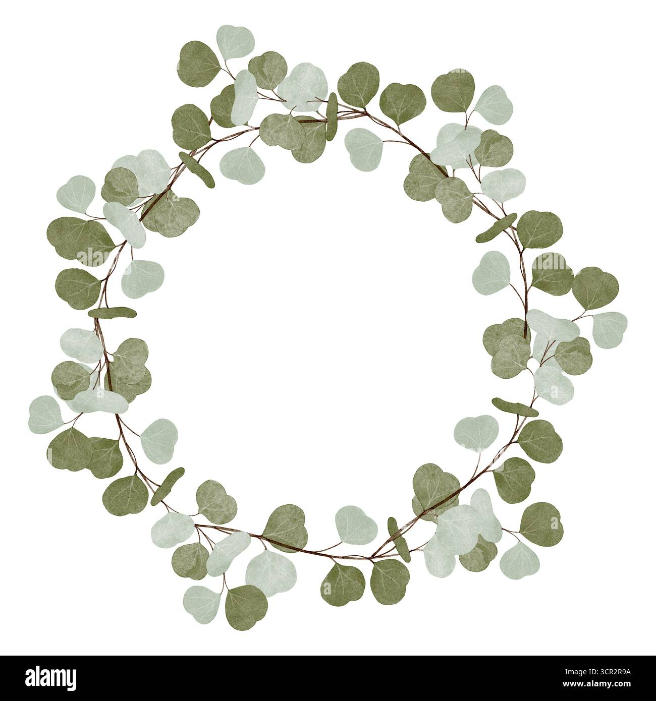 Watercolor illustration of eucalyptus wreath in circular botanical ...