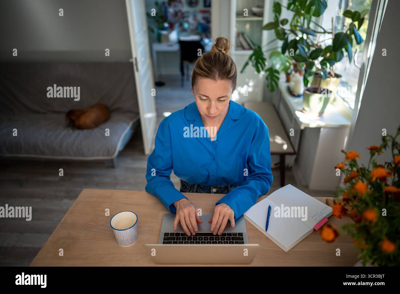 Thoughtful woman deals with work issues remotely from home using laptop, typing message Stock Photo