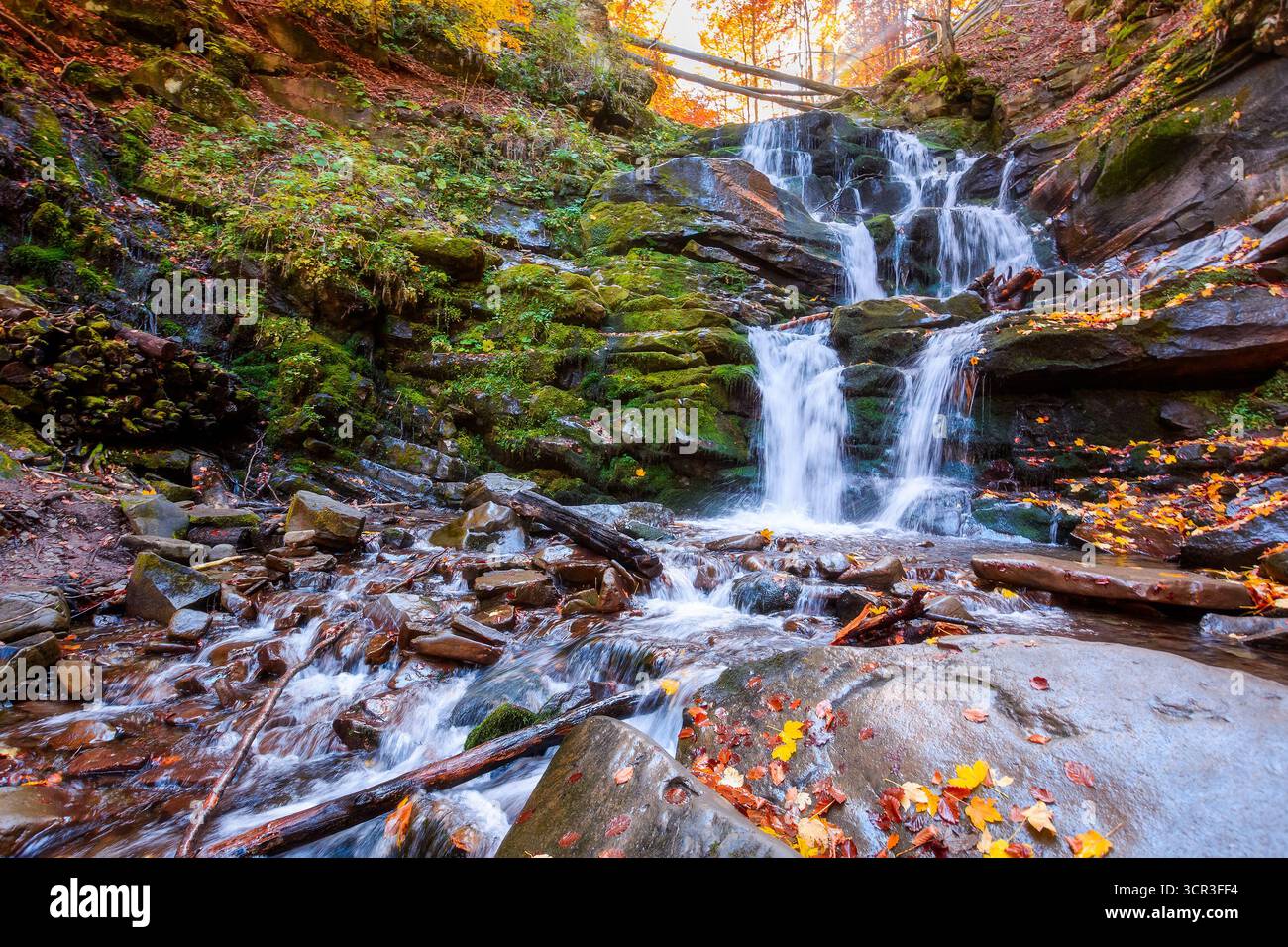 beautiful autumn landscape with waterfall shypit. popular destination in carpathian mountains of ukraine. forest in golden leaves. amazing sunny weath Stock Photo