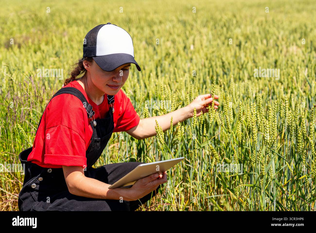 Female agronomist with digital tablet checking crop growth outdoors Stock Photo