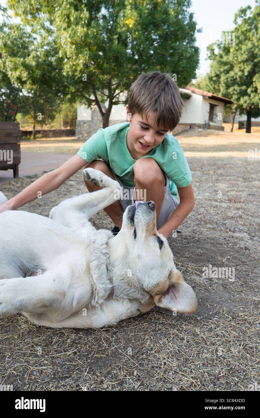Smiling boy cuddling his labrador retriever lying on the grass in a backyard Stock Photo