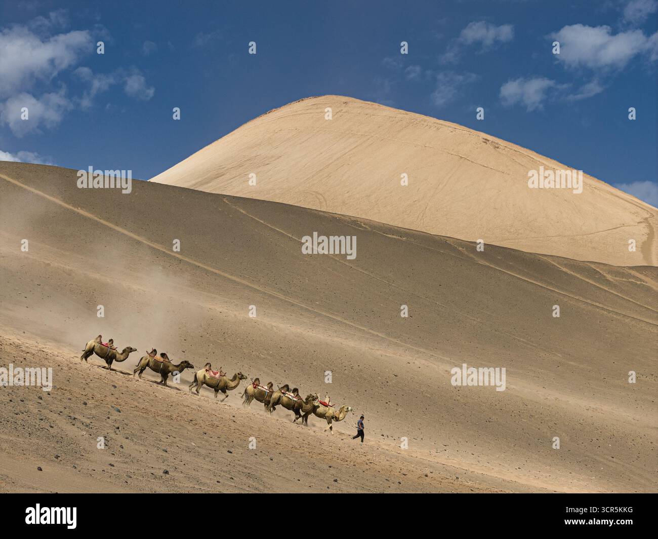 Camel riders aerial hi-res stock photography and images - Alamy