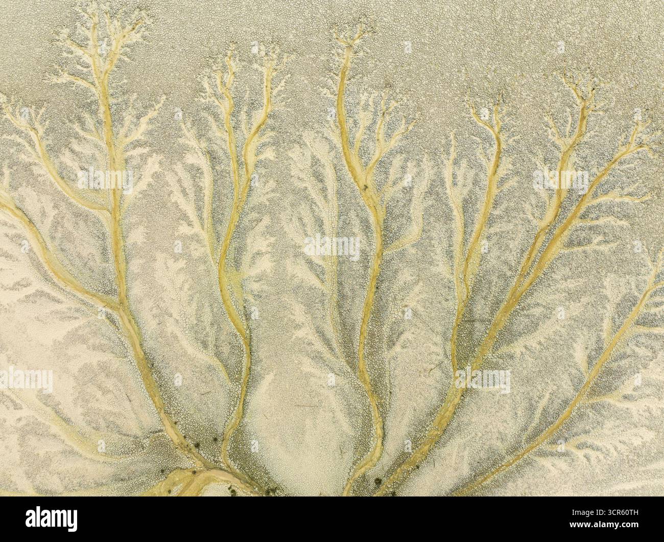 Dendritic patterns hi-res stock photography and images - Alamy