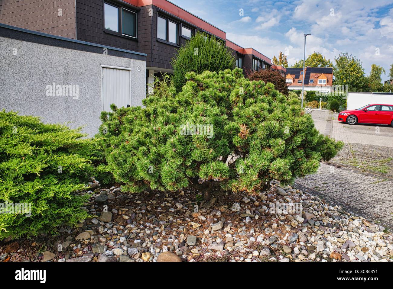 Decorative garden bush with rocks in front yard landscaping design ...