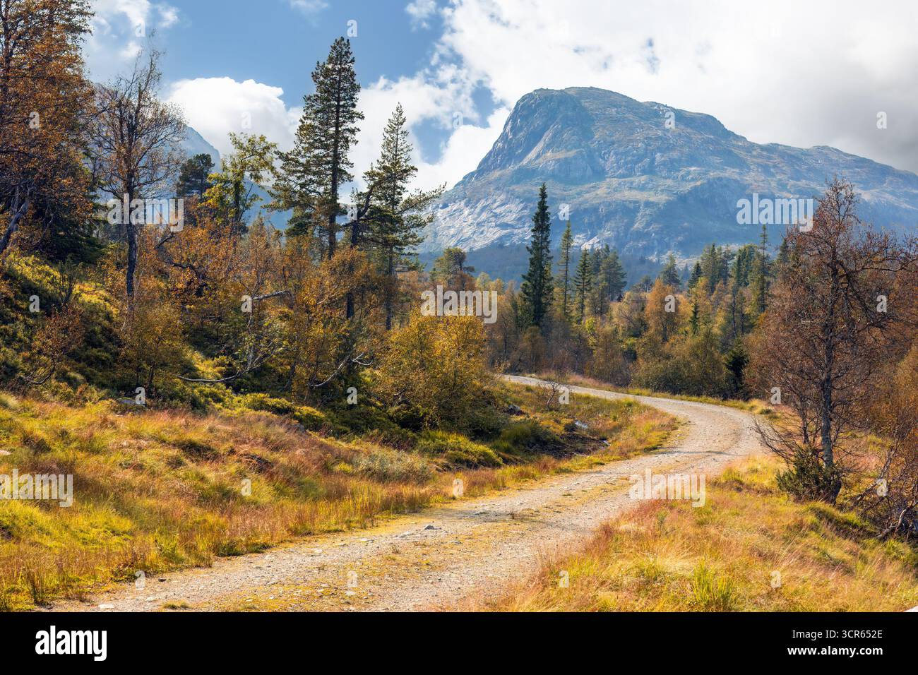 Scenic landscape featuring winding road surrounded by vibrant autumn ...